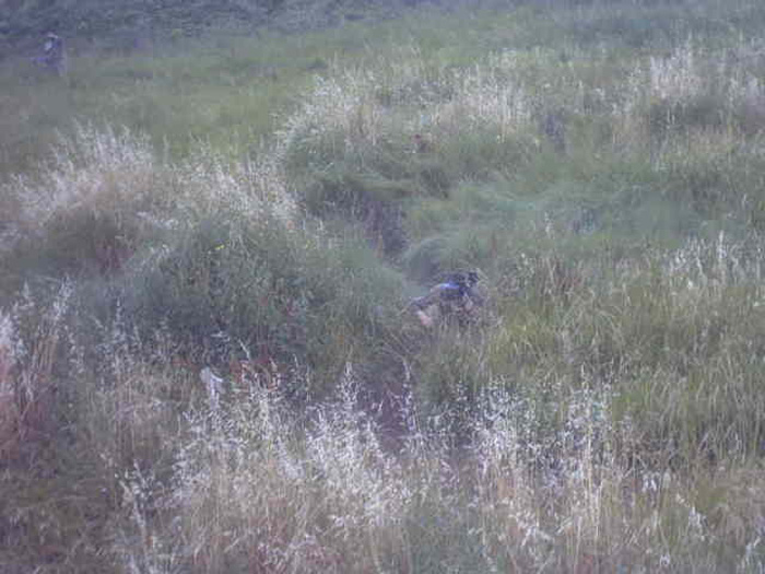 IMG00030