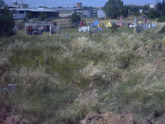 IMG00014