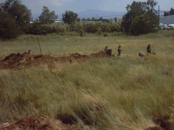 IMG00022