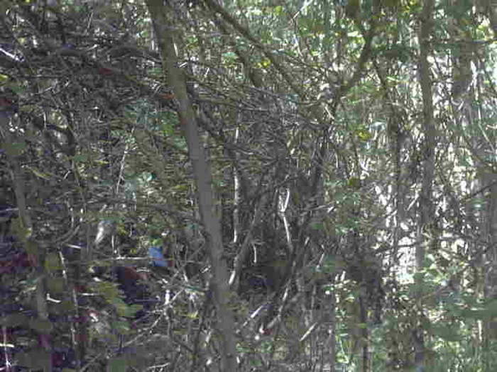 IMG00033