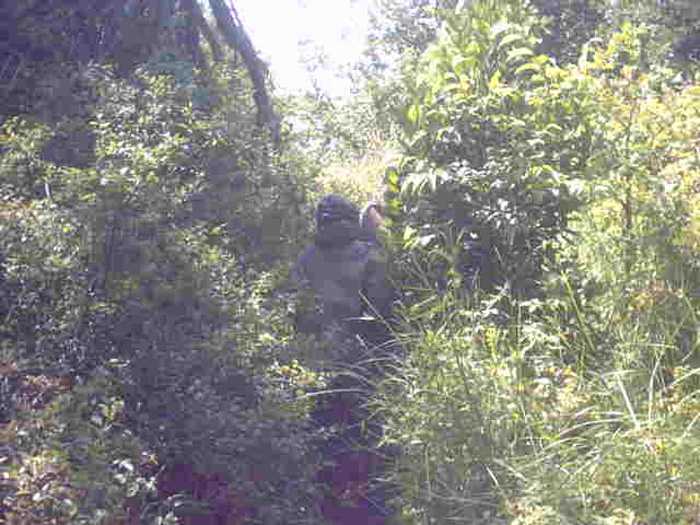 IMG00038