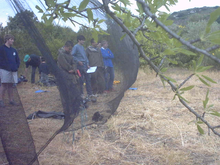 IMG00007