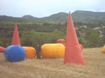 IMG00011