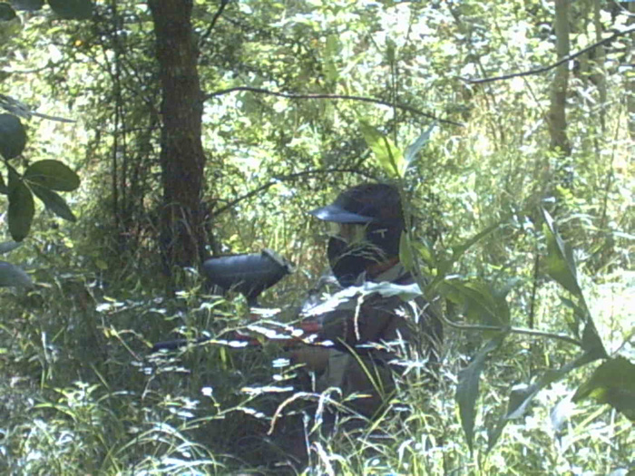 IMG00017